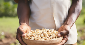 The Cashew Chronicles: A Tale of Cultivation and Harvest