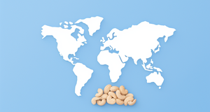 The World of Cashew Products: Beyond the Nut